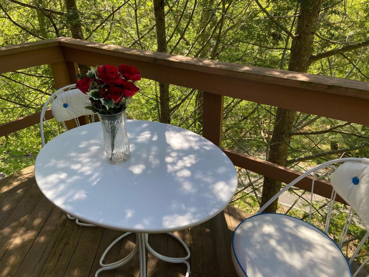 Saw Creek Cabin - Regent Hilltop Bushkill Dış mekan fotoğraf