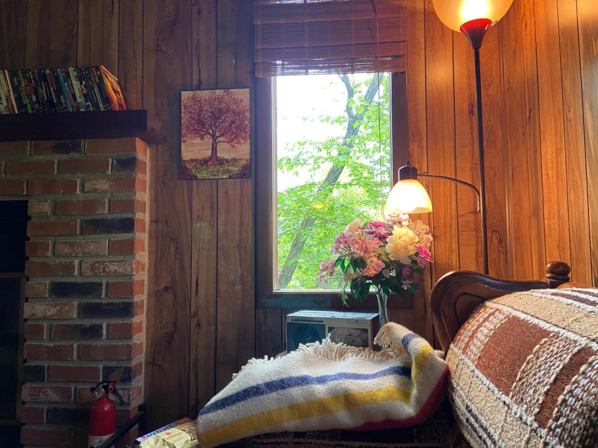 Saw Creek Cabin - Regent Hilltop Bushkill Dış mekan fotoğraf
