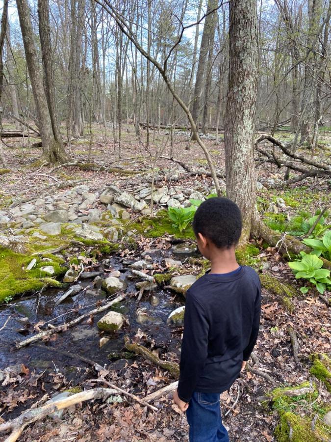 Saw Creek Cabin - Regent Hilltop Bushkill Dış mekan fotoğraf