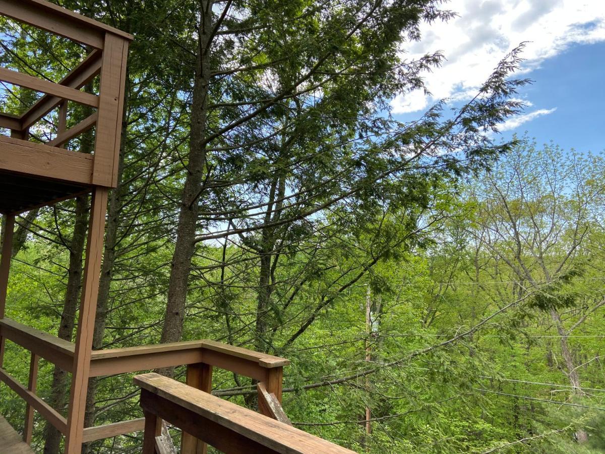 Saw Creek Cabin - Regent Hilltop Bushkill Dış mekan fotoğraf