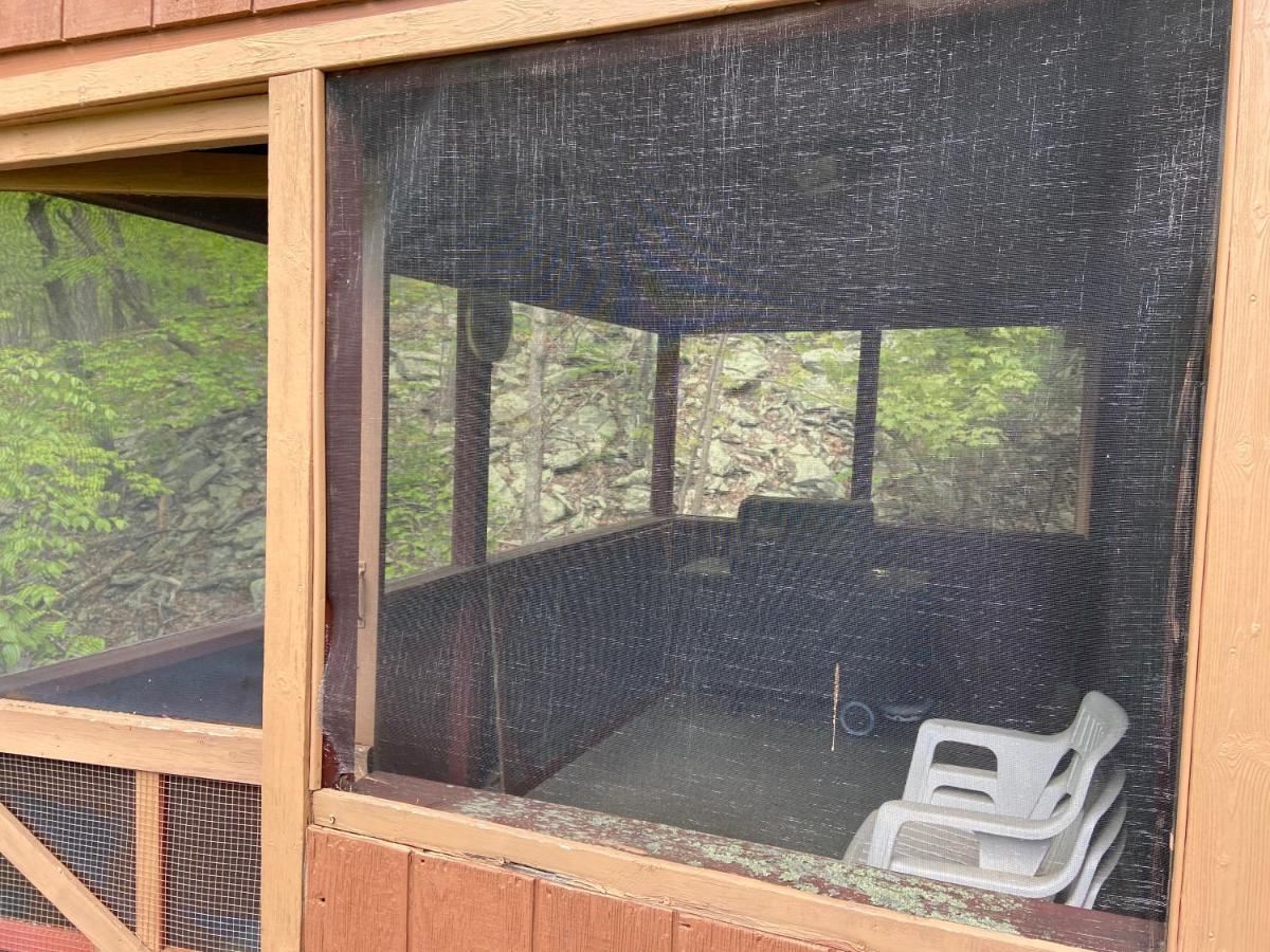 Saw Creek Cabin - Regent Hilltop Bushkill Dış mekan fotoğraf