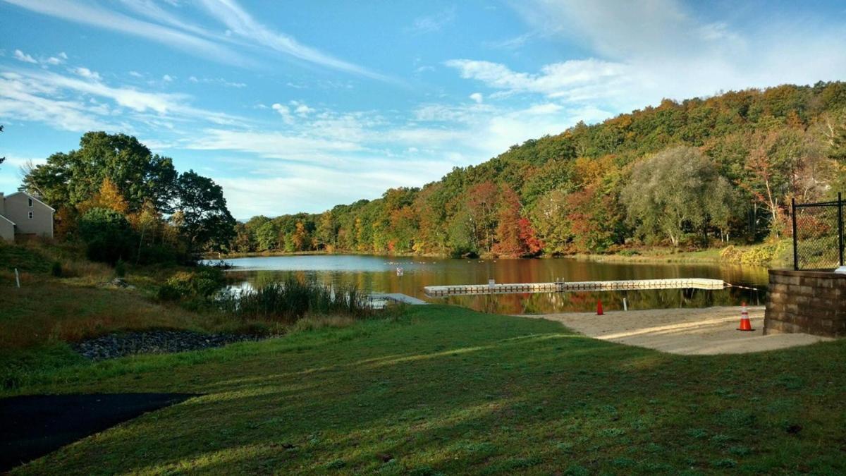 Saw Creek Cabin - Regent Hilltop Bushkill Dış mekan fotoğraf